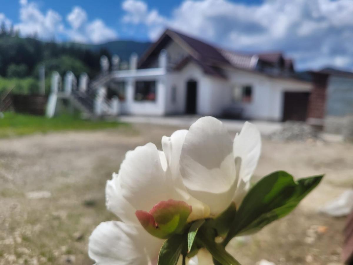Poarta Zaganului Cheia Hotel Cheia  Bagian luar foto