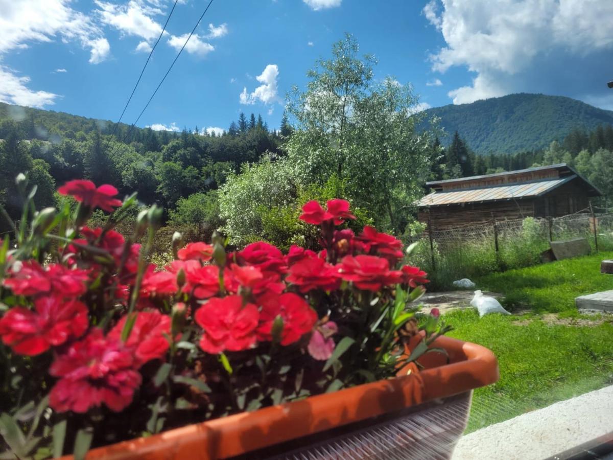 Poarta Zaganului Cheia Hotel Cheia  Bagian luar foto